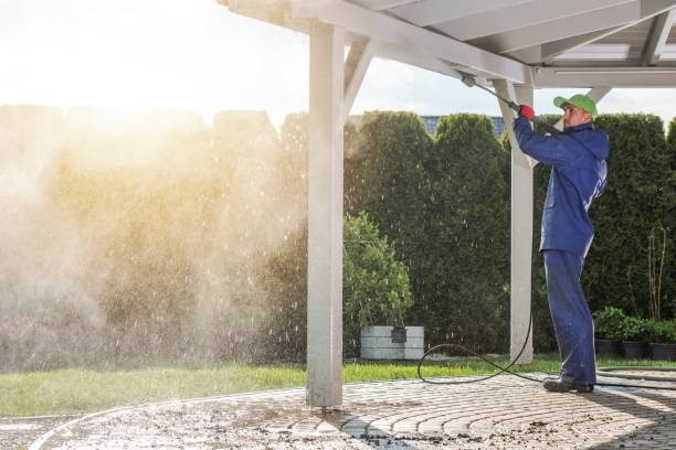 Best Roof Cleaning and Mildew Removal in Waite Park, MN